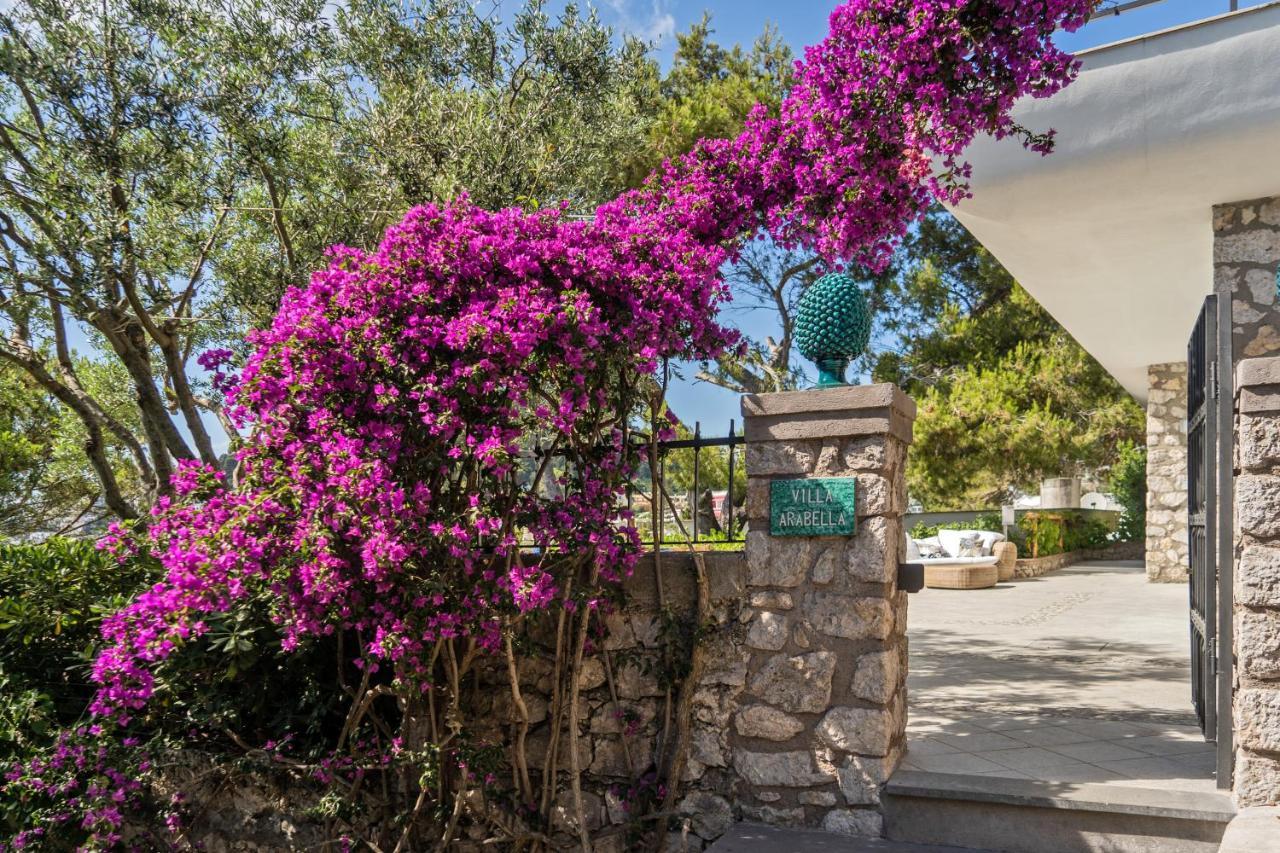 Villa Arabella Capri Exteriér fotografie